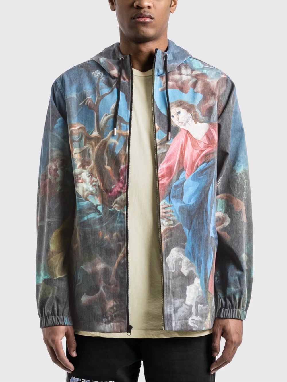 RIPNDIP Majestic Hooded Coaches Jacket